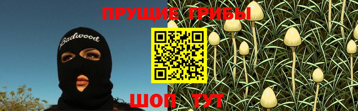 Псилоцибиновые грибы прущие грибы Кохма